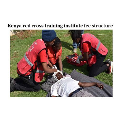 kenya red cross 2024.